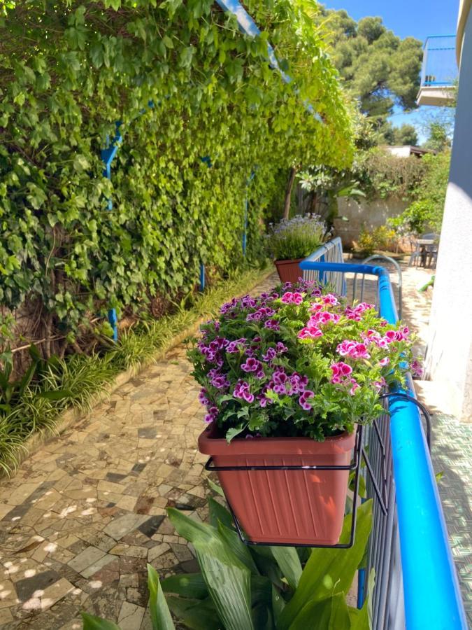 Apartment Savoia